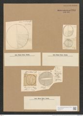 Campylodiscus ralfsii W. Sm. (de-Toni-Nr.: Genus 57, Species 2444) Zeichnungen Sammlung Grunow Nr. 4911 (NHMW-BOT-W0373114)